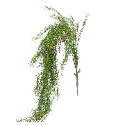 02000060_asparagus-x1-110cm-e58-umely