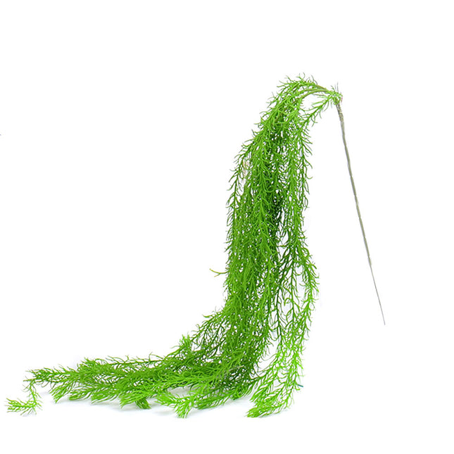 02000061_asparagus-x1-120cm-e105-106-umely