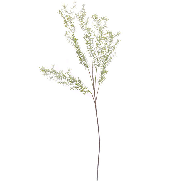 02000062_asparagus-x1-mix-h28-umely