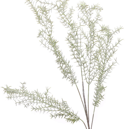 02000062_asparagus-x1-mix-h28-umely