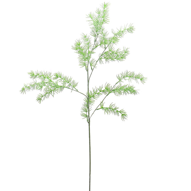02000063_asparagus-x1-mix-g106-umely