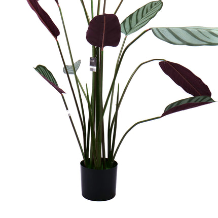 02000111_calathea-v-kvetinaci-140cm-umela
