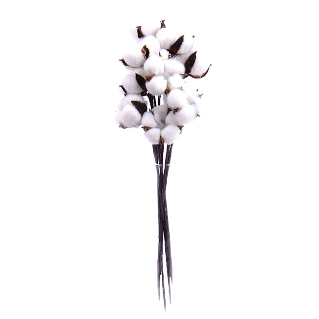 02000170_cotton-bavlna-30cm-10-balenie