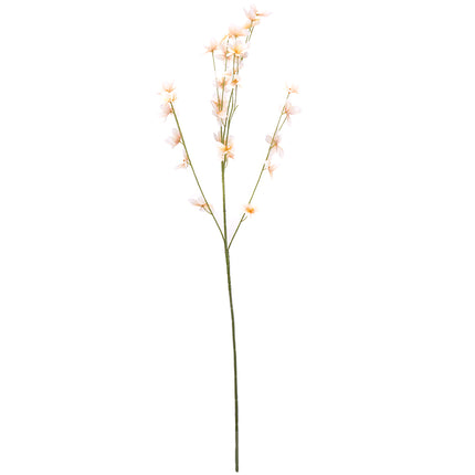 02000173_crocosmia-x4-mix-h30-umela