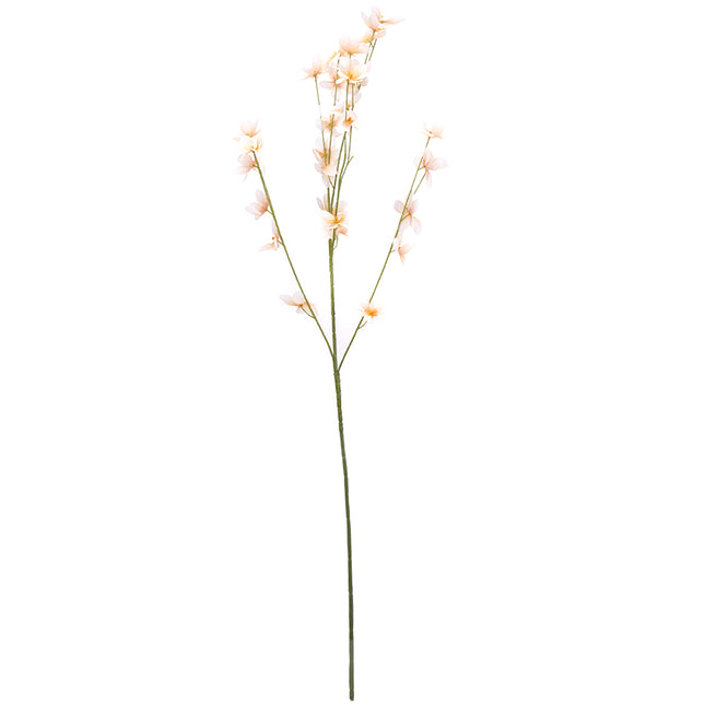 02000173_crocosmia-x4-mix-h30-umela