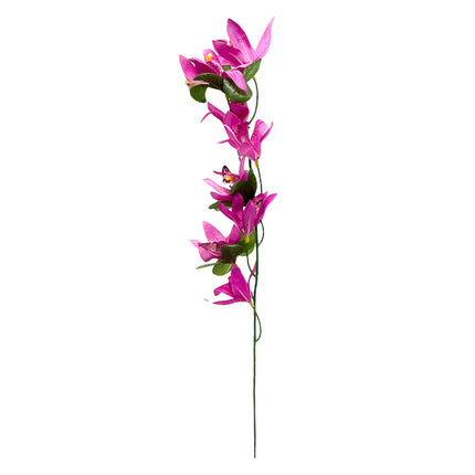 02000184_cymbidium-stopkove-8-kvetov