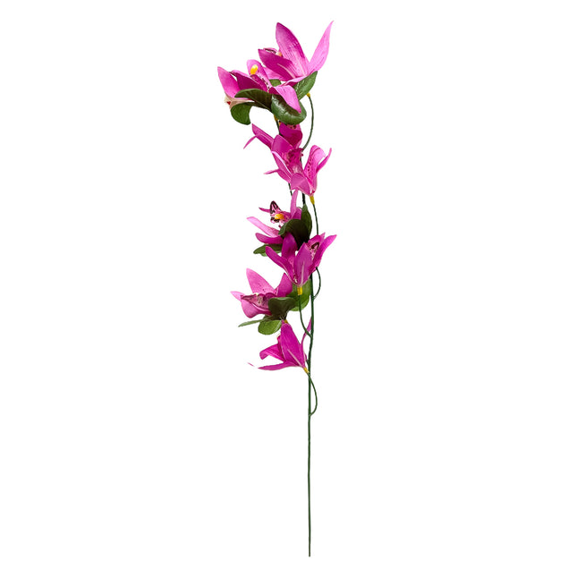 02000184_cymbidium-stopkove-8-kvetov