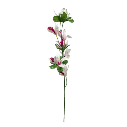 02000184_cymbidium-stopkove-8-kvetov