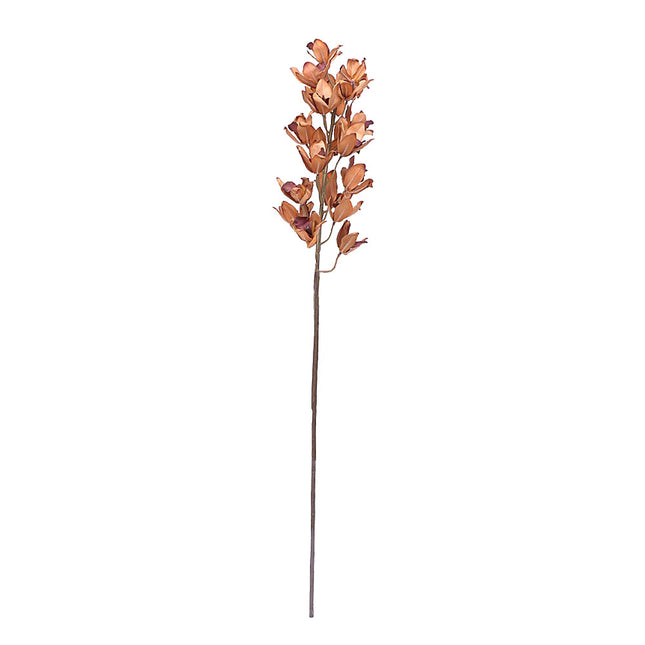 02000186_cymbidium-x1-hnede-70cm-f188-umele