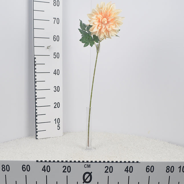 02000210_dahlia-mix-x1-70cm-umela