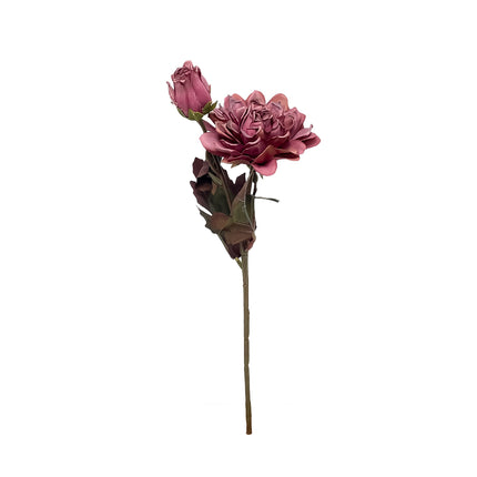 02000220_dahlia-um-stopkova