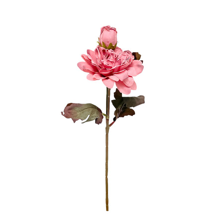 02000220_dahlia-um-stopkova