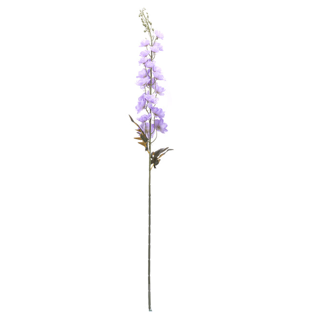 02000274_delphinium-x1-g120-umele