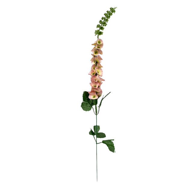 02000276_delphinium-margaretka-mini-mix-latkove-stopkove