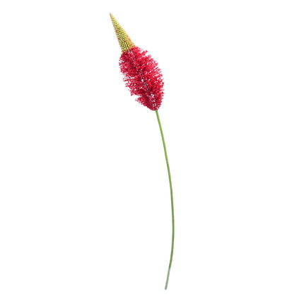 02000297_eremurus-x1-mix-h14-umely