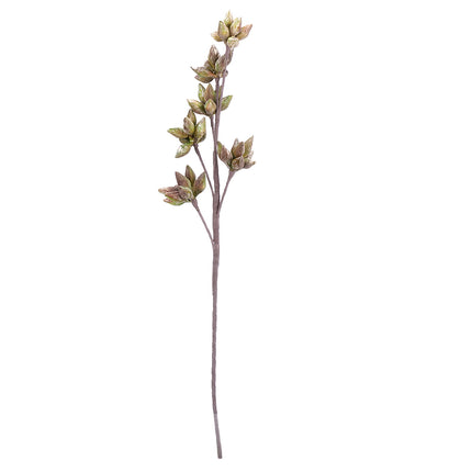 02000304_eucalyptus-plody-x1-umely-penovy