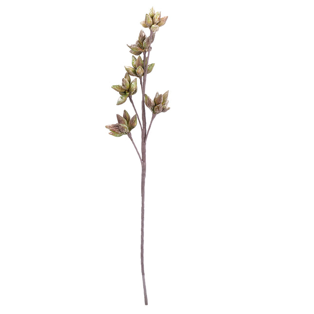 02000304_eucalyptus-plody-x1-umely-penovy
