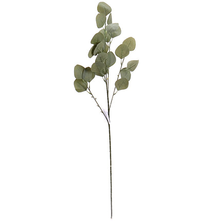 02000305_eucalyptus-populus-x1-80cm-umely