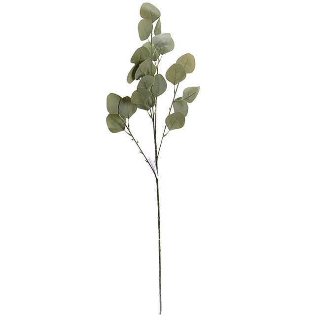 02000305_eucalyptus-populus-x1-80cm-umely