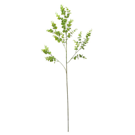 02000310_eucalyptus-x1-mix-h19-umely