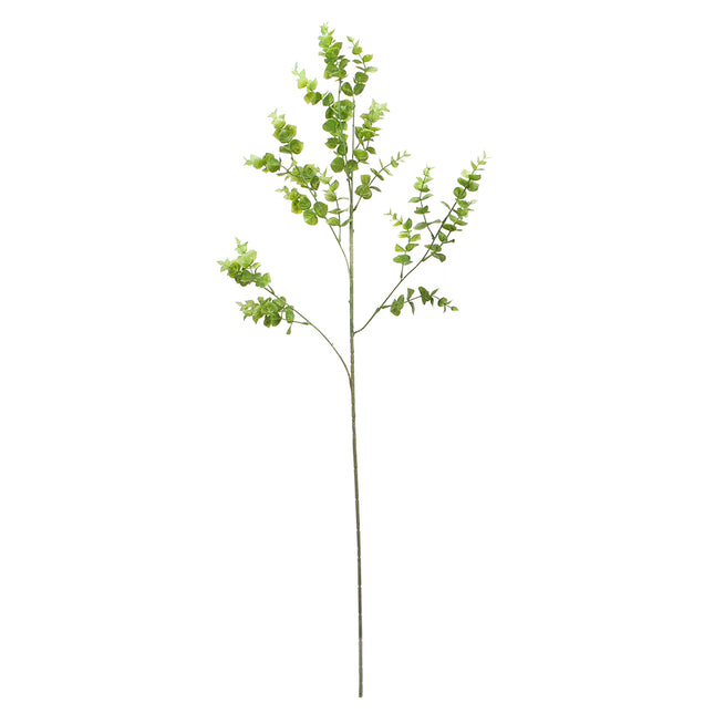 02000310_eucalyptus-x1-mix-h19-umely