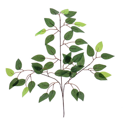 02000313_eucalyptus-x1-umely-e6-12-balenie