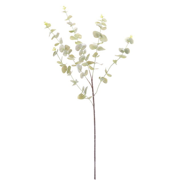 02000320_eucalyptus-x3-mix-g14-umely