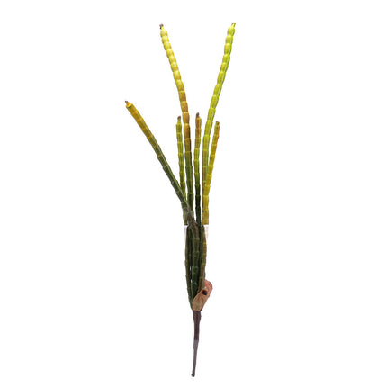 02000336_euphorbia-x6-zelena-90cm-f212-umela
