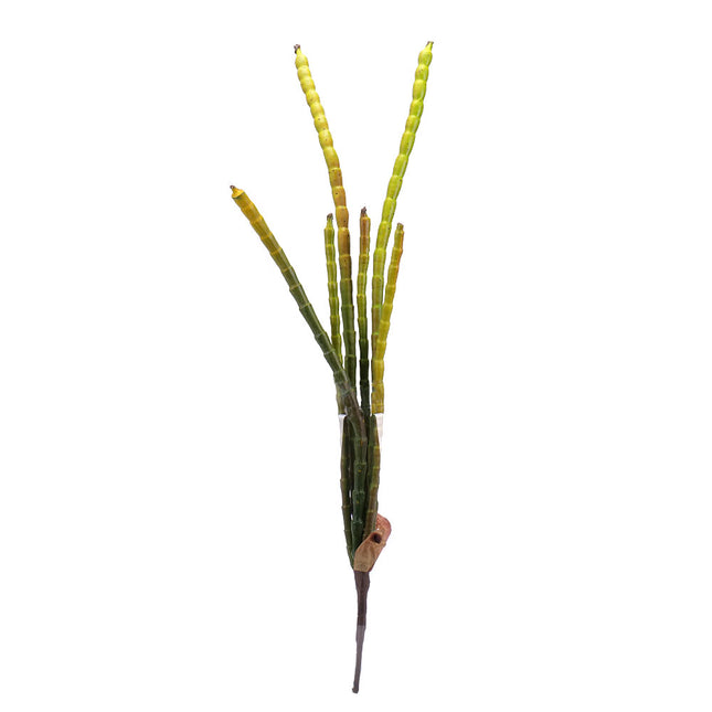 02000336_euphorbia-x6-zelena-90cm-f212-umela