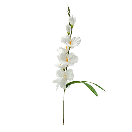 02000413_gladiol-x1-umely