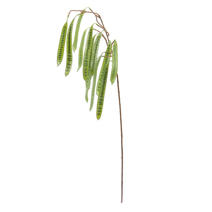 02000416_gleditsia-x1-mix-g88-umela
