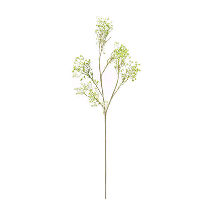02000471_gypsophila-x1-80cm-e119-umela