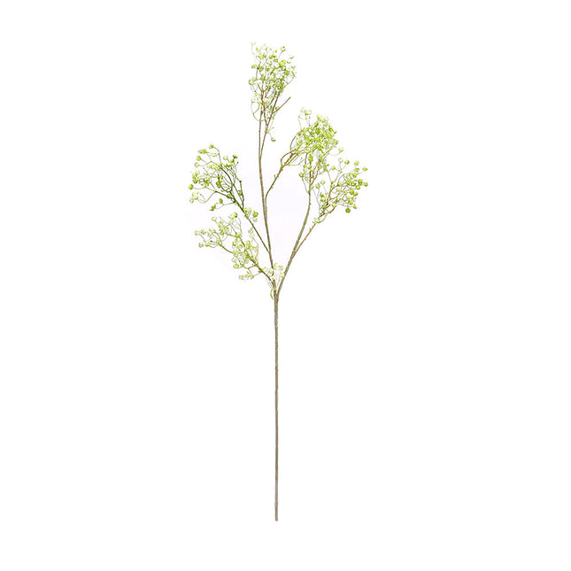 02000471_gypsophila-x1-80cm-e119-umela