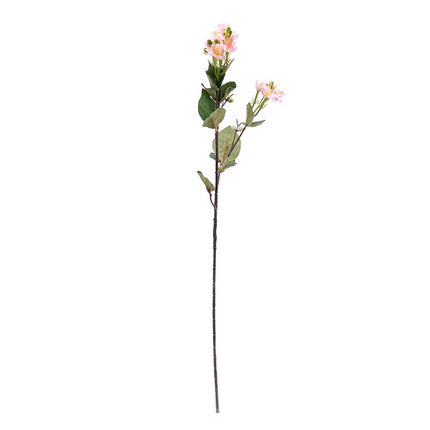 02000661_jablon-x1-62cm-e19-umela