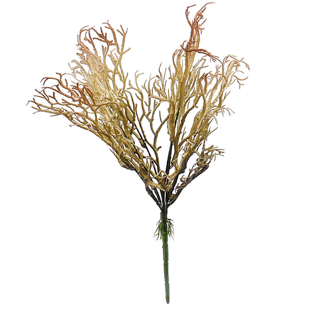 02000858_kytica-coral-x6-e45-umela