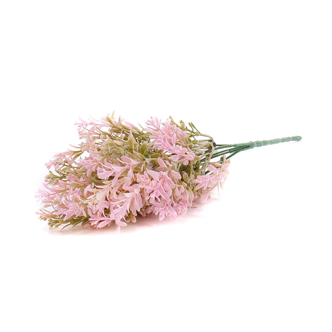 02001423_kytica-um-mimosa-x5