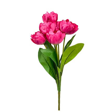 02001619_kytica-um-tulipan-x9