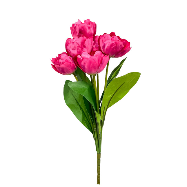 02001619_kytica-um-tulipan-x9