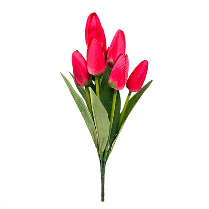 02001619_kytica-um-tulipan-x9