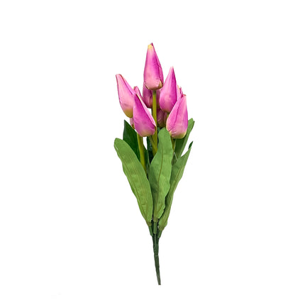 02001619_kytica-um-tulipan-x9