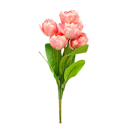02001619_kytica-um-tulipan-x9