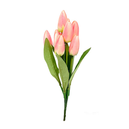 02001619_kytica-um-tulipan-x9