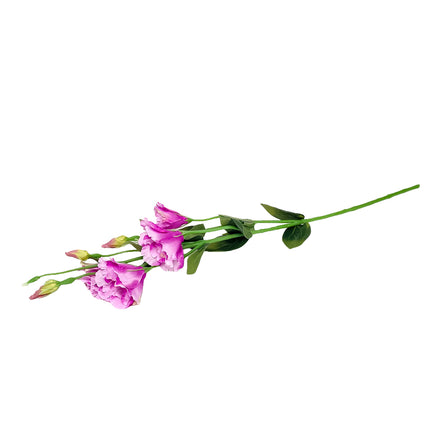 02001736_lisianthus-um-stopkovy-1