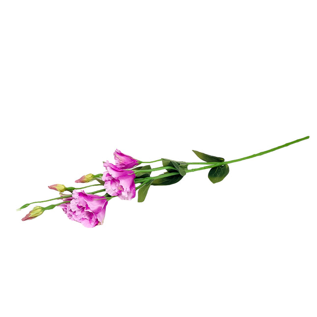 02001736_lisianthus-um-stopkovy-1