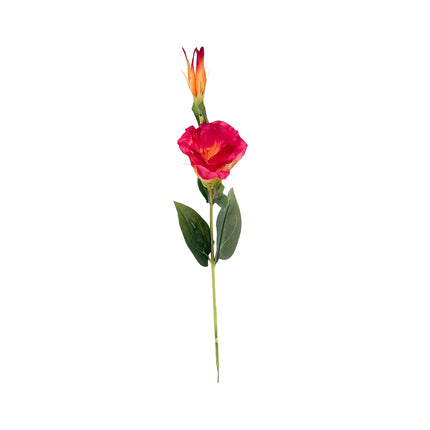02001740_lisianthus-um-stopkovy