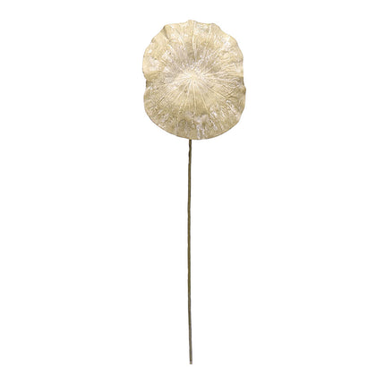 02001789_lotus-list-x1-cement-zeleny-f191-100cm-umely
