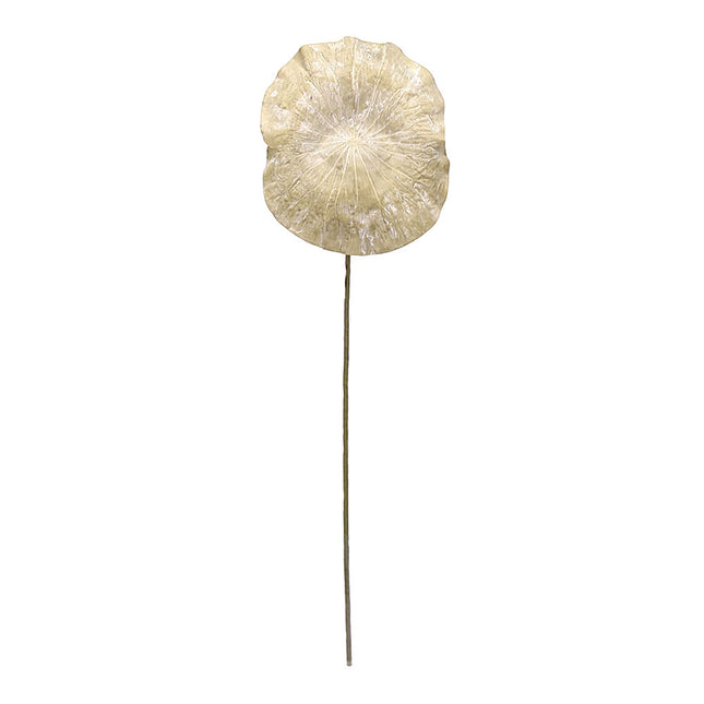 02001789_lotus-list-x1-cement-zeleny-f191-100cm-umely