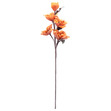 02001819_magnolia-x-1-umela-penova-3