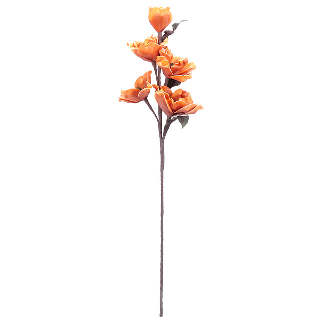 02001819_magnolia-x-1-umela-penova-3