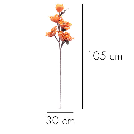 02001819_magnolia-x-1-umela-penova-3